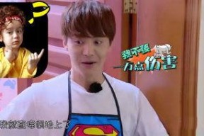 娱乐吃瓜酱转世,揭秘娱乐圈新晋“瓜王”传奇